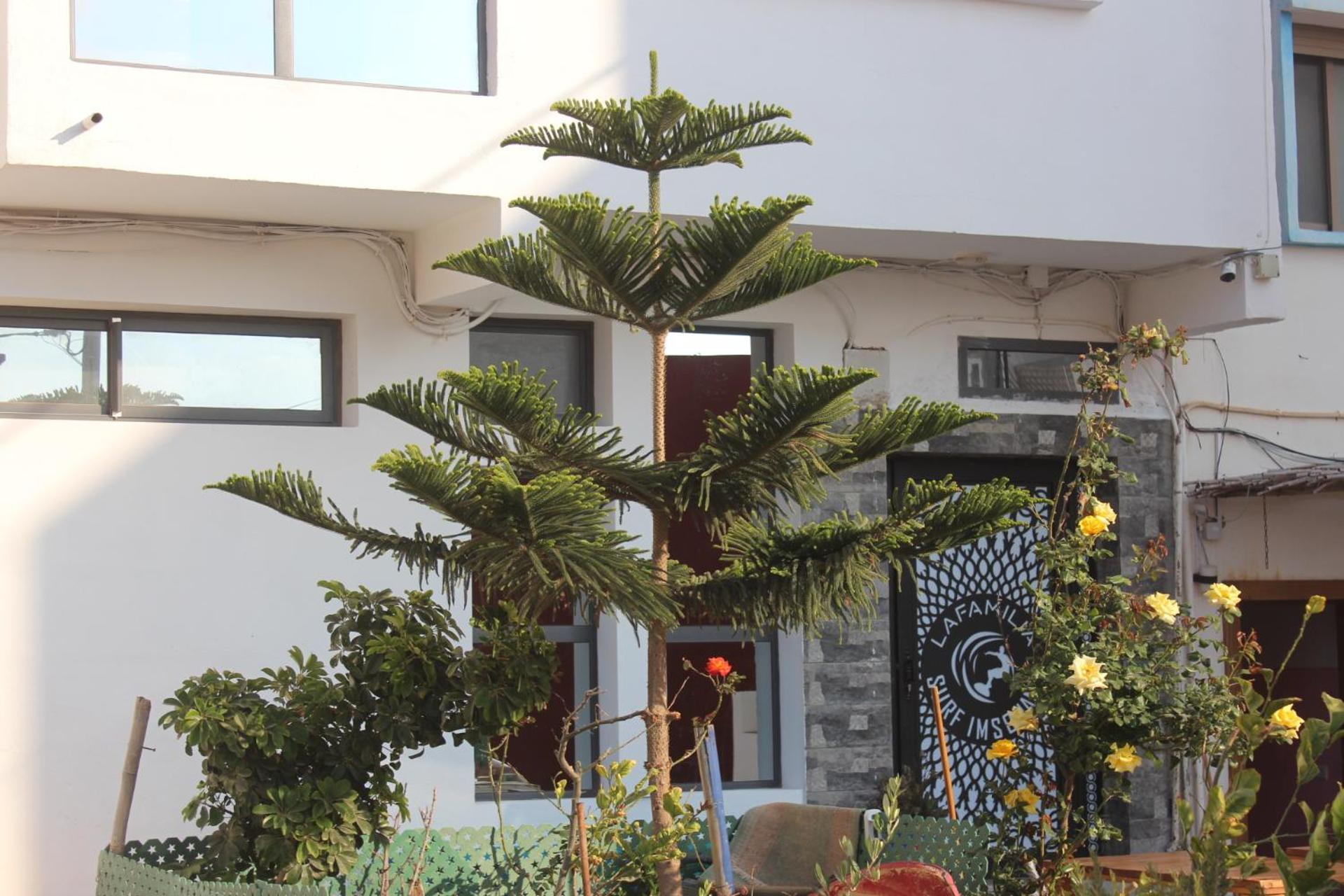 Hotel Lafamilia Surf Imsouane Exteriér fotografie